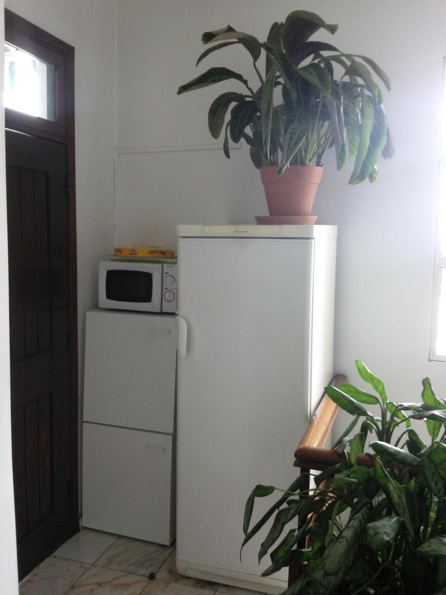 Pensao Residencial Vila Teresinha Funchal Dış mekan fotoğraf