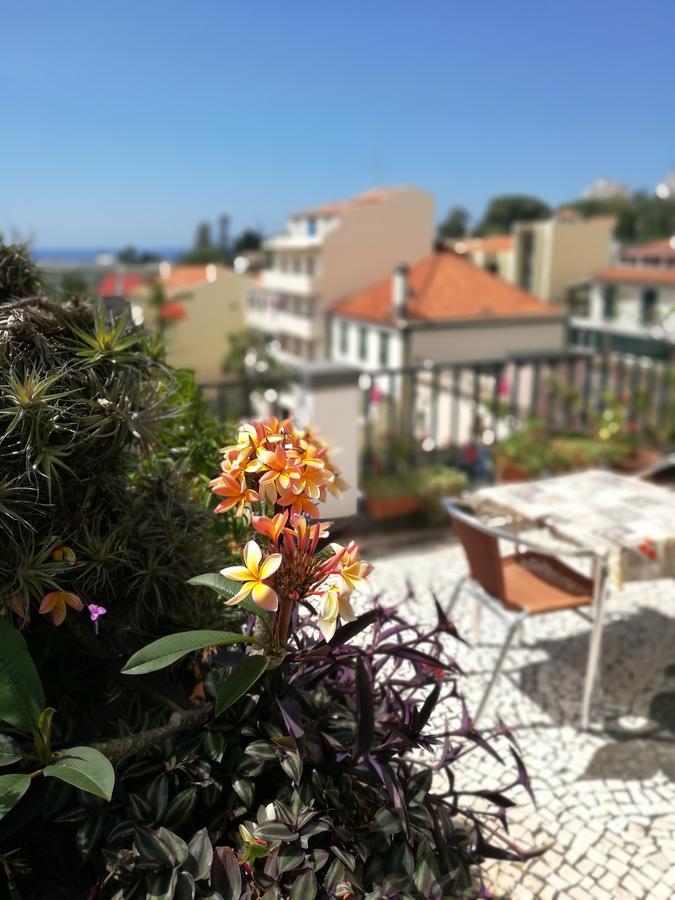 Pensao Residencial Vila Teresinha Funchal Dış mekan fotoğraf